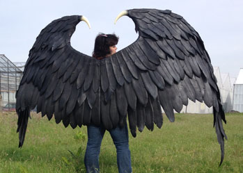 Maleficent wings made by tentacle studio