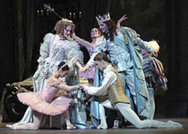 sleeping beauty ballet costumes 