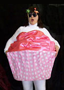 cupcake fairy cake costume 