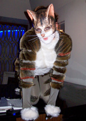 cat mask costume promotional fur
