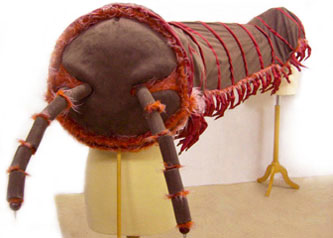 millipede insect halloween costume prop London Zoo