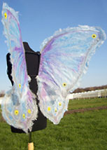 elf fairy butterfly wings 