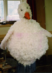 panto costume for mother goose