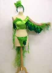 carnival bird costume feathers dancer