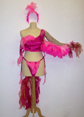 pink dancer bird costume satin feathers 2008