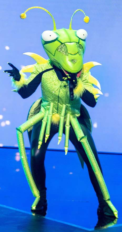 praying mantis bug costume maker tentacle studio swarovski