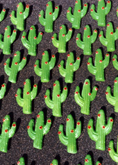 promotional badge green enviromental cactus