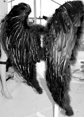 pair of large black feather bird wings props