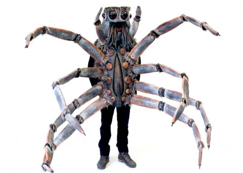 wolf spider insect Halloween costume maker