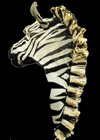 Zebra head prop made by Theatre costume and prop makers Tentacle Studio