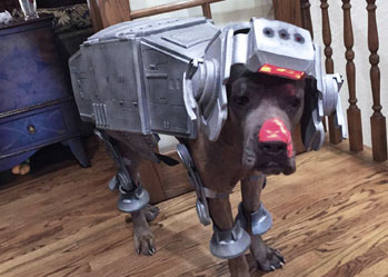 Star wars dog costume silver 