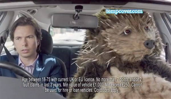 hedgehog in car tv ad animal costume maker 