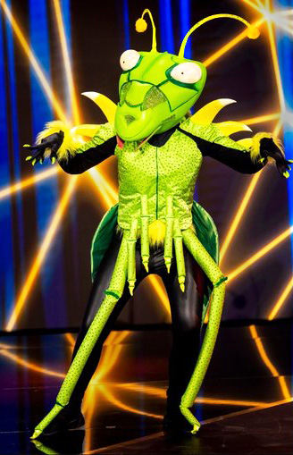 praying mantis custom costume sprinkhaan kostuum masked singer-w