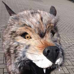 realistic fur adult wolf masquerade animal mask