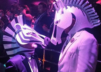 zebra animal masquerade mask safari theme